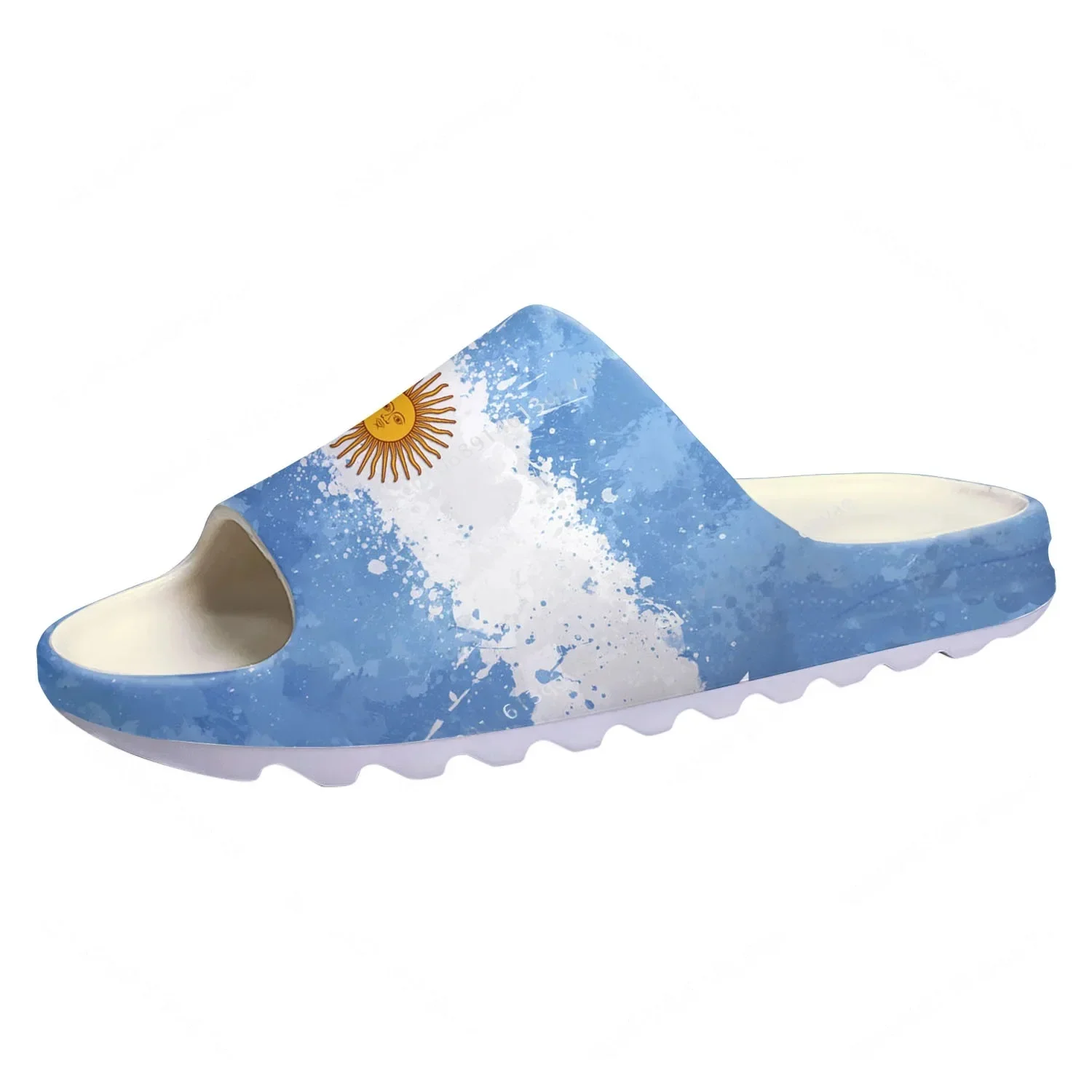 Argentine Flag Soft Sole Sllip - Men Shoes On 리뷰 및 가격