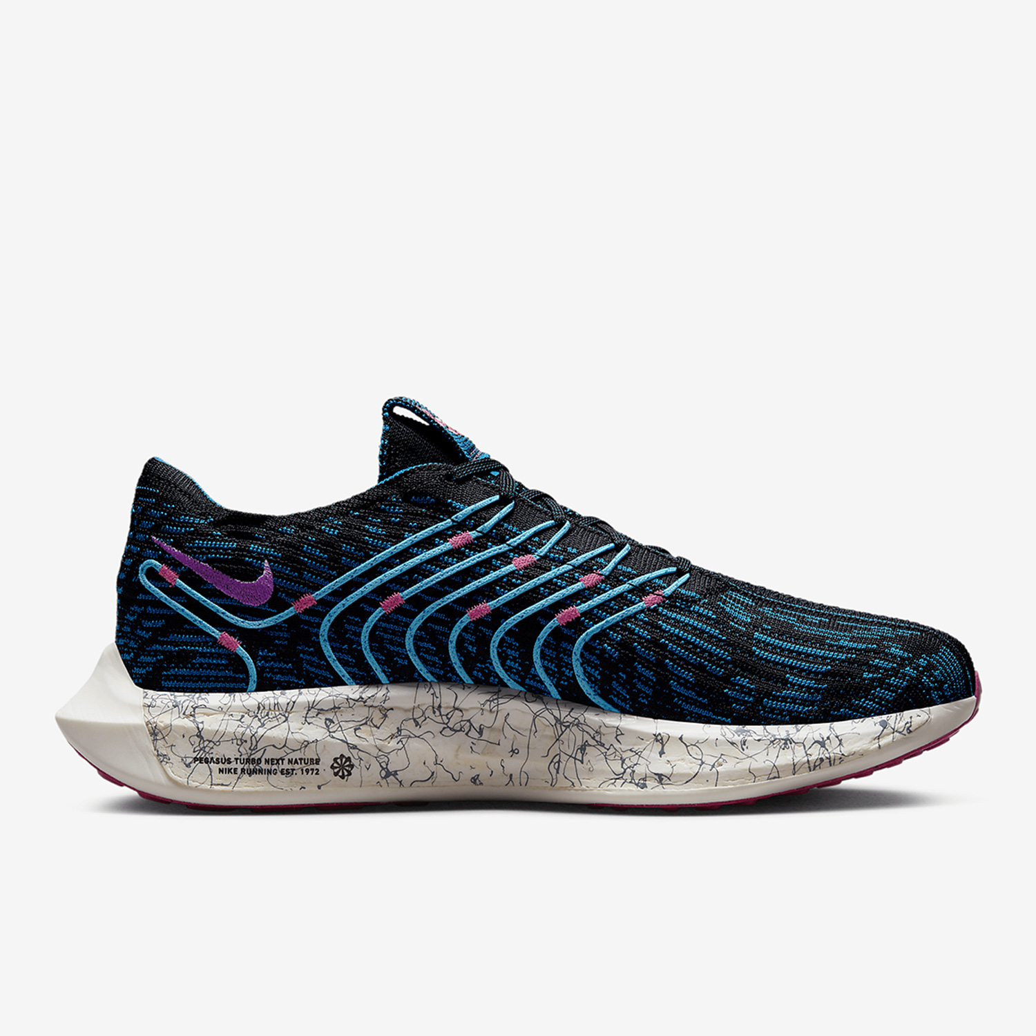Nike Official Genuine Pegasus  - Men'S Shoes In Next 리뷰 및 가격
